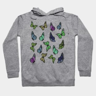 Colorful and Cute Butterfly Pattern 2 Hoodie